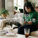 수정-10 | [인공수정 후기 1편] 난포 10개와 나의 작은 전쟁 🏥