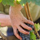 CarpeDiem(카르페디엠) 이미지