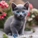 동물보육원 광주신촌동지부 이미지