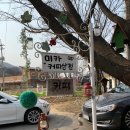 아랫배알미길 이미지