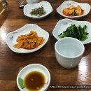 광성복어 이미지