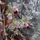 성남시립식물원 이미지