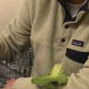 스테이 경화 네이버블로그
