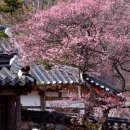 언덕위에 작은 민박 이미지