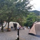 무릉도원면-33 이미지