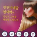 오땡큐제주지사