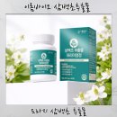 (주) 자연바이오 | 삼백초추출물로 시작한 기관지 건강관리, 이롬바이오 솔직 후기