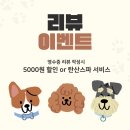 멍실장 이미지