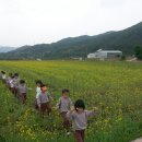 농촌전통테마마을 이미지