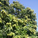 간디숲속마을 협동조합 이미지