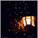 데.바수스 Daum카페