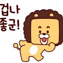 더퍼스트 유도관 이미지