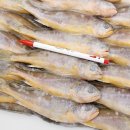 태양상사 이미지