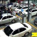 워시존대구 이미지