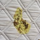 도담도담동물병원 이미지