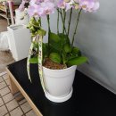 진명해피케어 이미지