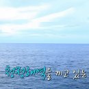 박헤어칸 | 내가 이탈리아에게로 간다 (1)