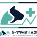 유기화동물의료센터 이미지
