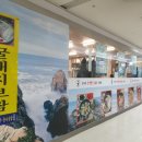 김명자 굴국밥 가산점 이미지