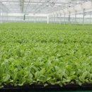 청양군농업기술센터 이미지