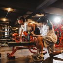 지엘 핏 이미지