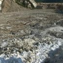 (주)오미아코리아 이미지