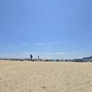 고래불 해수욕장 이미지