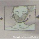 (주)스마일라인 이미지