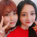 플틴