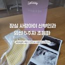 오가닉산부인과의원 | 잠실 난임 산부인과 사랑 아이 임신 5주 차 초음파