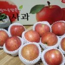 영승농장 네이버블로그