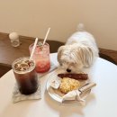 리버디 | 새절역 카페 불광천 애견동반 디저트 맛집 리버디 후기