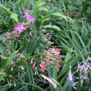 왕성농장 이미지