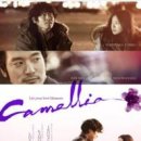 카멜리아 (2012)(재업) - 드라마, 멜로 | 한국ㅣ설경구, 강동원, 송혜교 이미지