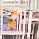 멍뭉식탁 | 경주 수영장 있는 펜션 키즈풀빌라 방2개 10명까지 가능한 벤투스