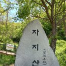 자지산(467)/부엉산(429)/출렁다리 - 금산 이미지