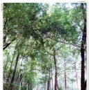 봉화 궁도장 이미지