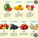 6월22일 월요일 - 김밥, 더자두- 이미지