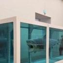 영원약품 | 서울 전시 추천｜데이미언 허스트 아시아 최초 개인전 후기 (+취소표 성공썰)