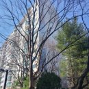 한양스포츠센터 앞 이미지