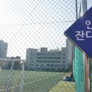 수원종합운동장 인조잔디구장 네이버블로그