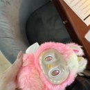 신천점현대자동차 | 중국 상하이 여행 3박 4일 3일차(대한민국임시정부, 페이다추, POULX, 신천지, 난징동루, 장씨네게살...