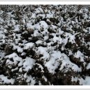 호산주유소 이미지