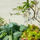 허진호안과의원 이미지