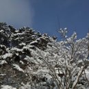 축령산휴림 이미지