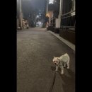 이쁘개멋있개 이미지