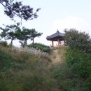 용와산성 이미지