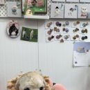 멍멍쩝쩝 이미지