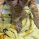 링크늘푸른동물병원 이미지