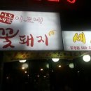 이모네 꽃돼지